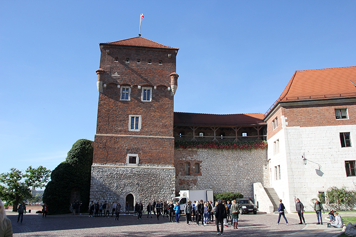 Wawel: Tyvetårnet